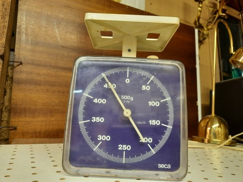 Hübscher seca 500g - seca,